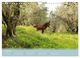 Thumbnail-12