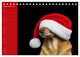 Thumbnail-4