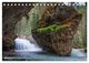 Thumbnail-8