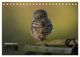 Thumbnail-14