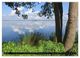 Thumbnail-12