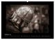 Thumbnail-12