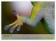 Thumbnail-14
