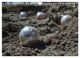 Thumbnail-14