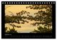 Thumbnail-12