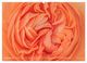 Thumbnail-11