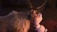 Thumbnail-8