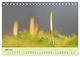 Thumbnail-10