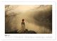 Thumbnail-10
