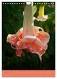 Thumbnail-13