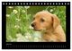 Thumbnail-12