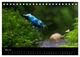Thumbnail-7