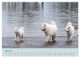 Thumbnail-10