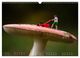 Thumbnail-12