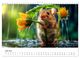 Thumbnail-11