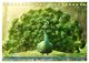 Thumbnail-9