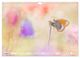 Thumbnail-13