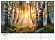 Thumbnail-10