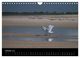 Thumbnail-12