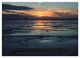 Thumbnail-11