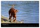 Thumbnail-13