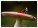 Thumbnail-12