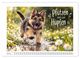 Thumbnail-9