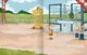 Thumbnail-4