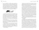 Thumbnail-12
