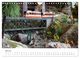Thumbnail-9