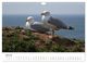 Thumbnail-9