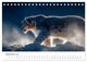 Thumbnail-11