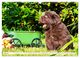 Thumbnail-9