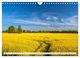 Thumbnail-10