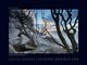 Thumbnail-12