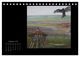 Thumbnail-11