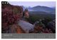 Thumbnail-14