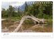 Thumbnail-12