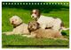 Thumbnail-8