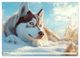 Thumbnail-10