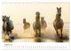Thumbnail-10