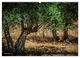 Thumbnail-12