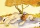 Thumbnail-1
