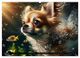 Thumbnail-8