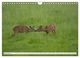 Thumbnail-14