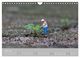 Thumbnail-8