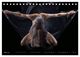 Thumbnail-8