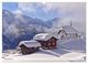 Thumbnail-14