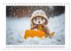 Thumbnail-7