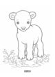 Thumbnail-2
